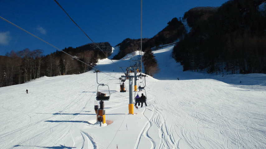 c0175712_1441335.jpg
