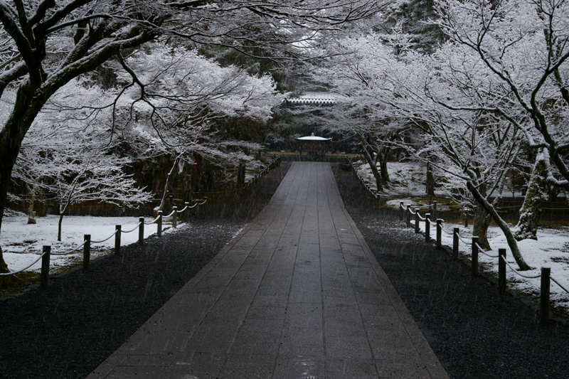 雪の南禅寺_e0177413_1050554.jpg