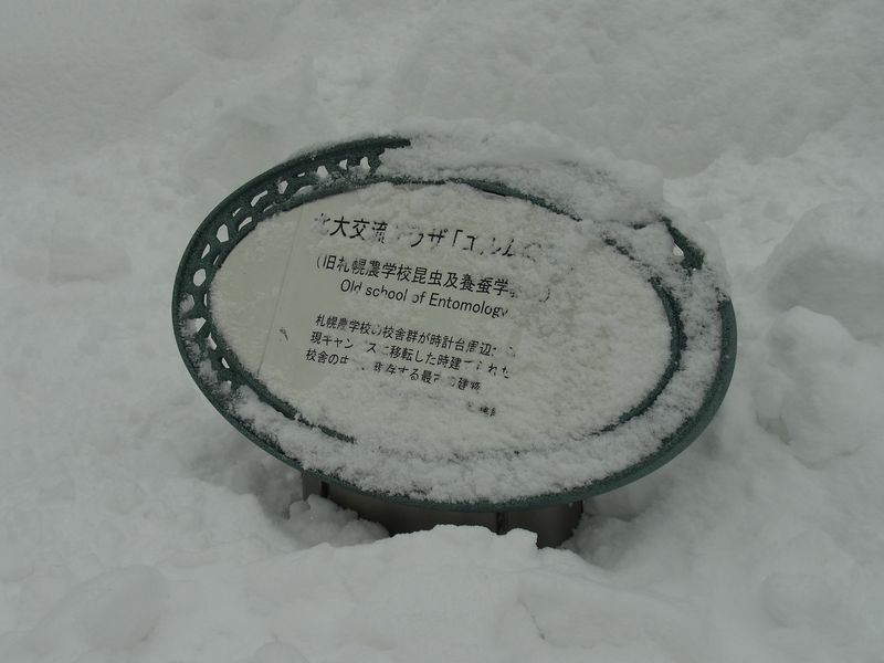ようやく晴れ間_c0025115_21425022.jpg