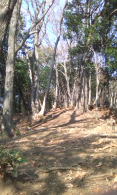c0209415_11183067.jpg