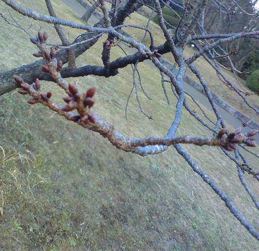 c0097620_22161886.jpg
