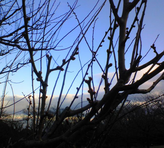 c0097620_22164357.jpg