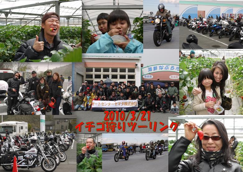 今年も~!_a0169121_1259516.jpg