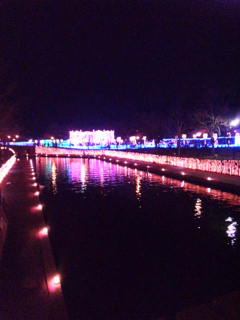 d0179521_18424886.jpg