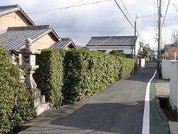 高野街道００５　２０１０・１・８_f0000521_739483.jpg