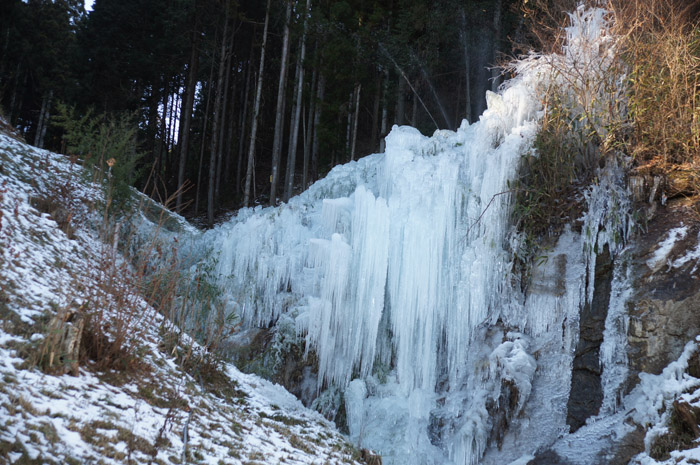 b0030123_949985.jpg