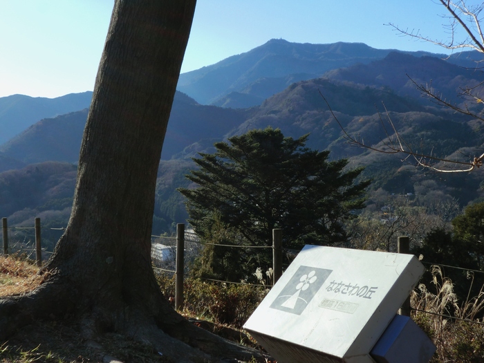 《１月８日王様のブランチ見て下さ～い！》「七沢森林公園散策」と「野鳥さん」_b0033423_115592.jpg
