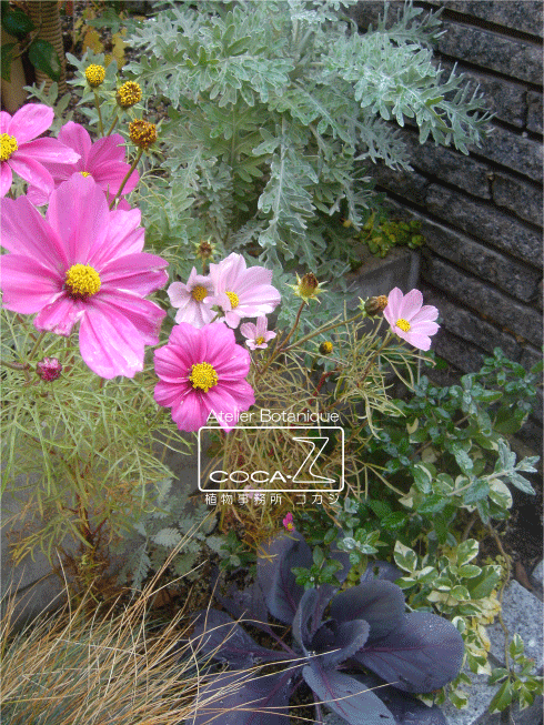 b0160123_19382276.gif