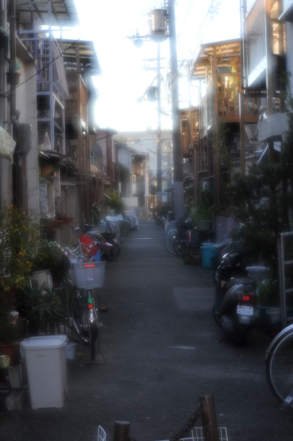 b0069128_7463662.jpg