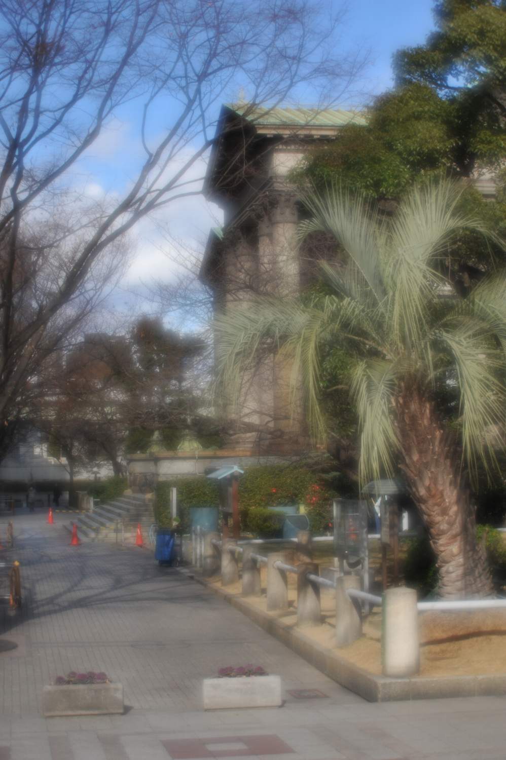 b0069128_9124148.jpg