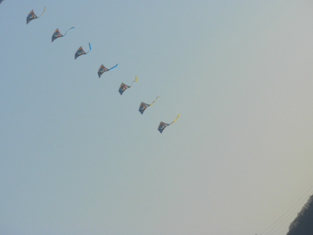 f0163928_17445135.jpg