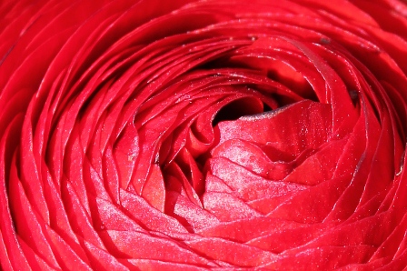 c0118235_22121748.jpg