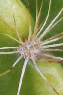 c0118235_2213652.jpg