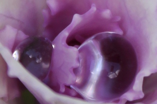 c0118235_22225127.jpg