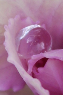 c0118235_22275427.jpg