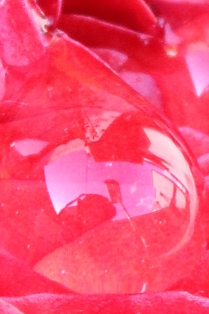 c0118235_2235353.jpg