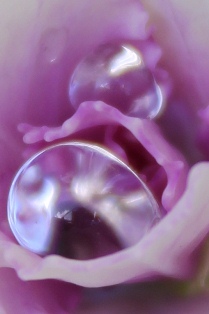 c0118235_22422686.jpg