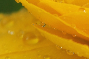 c0118235_2247164.jpg