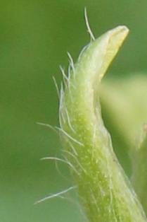 c0118235_2274215.jpg