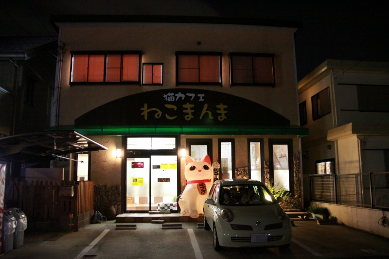 名古屋市御器所「猫カフェ　ねこまんま」_d0167436_2242322.jpg