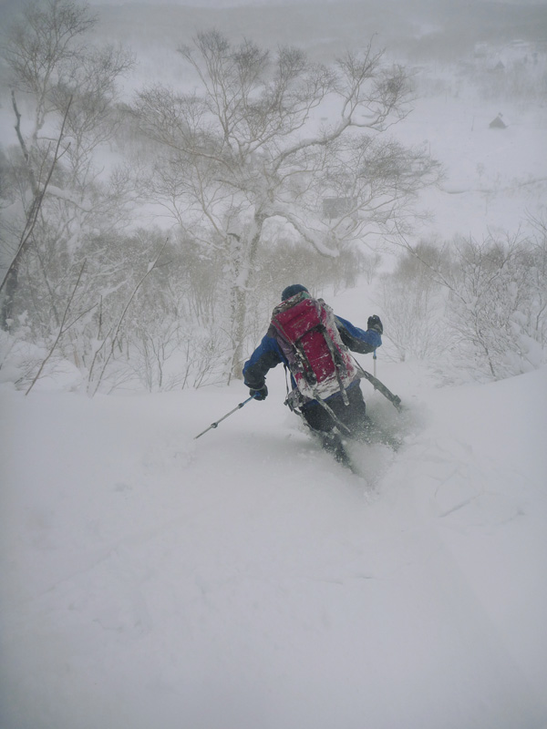 大雪と風と低温のニセコ_d0147338_20445047.jpg