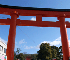 b0209142_13101376.gif