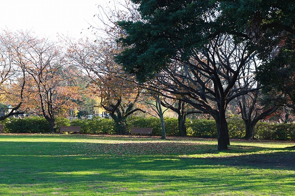 c0174345_0543116.jpg