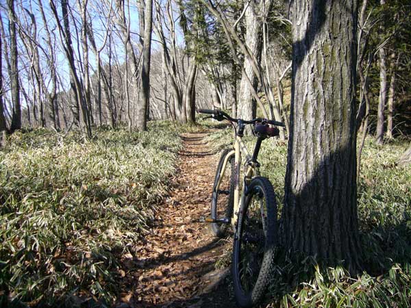 自転車(MTB)で山の神から生藤山、くらご峠 : 40代からの山岳サイクリング