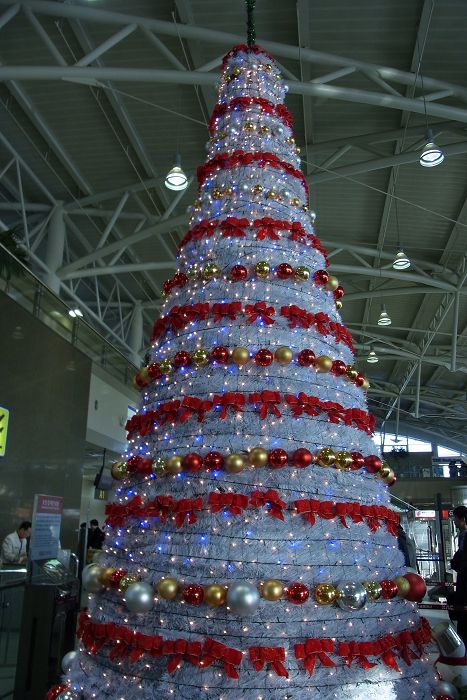 韓国出張_f0155048_22141492.jpg