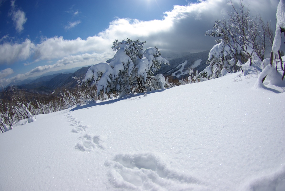 広島県民の森（毛無山）スノーシューハイク_a0009554_19183125.jpg