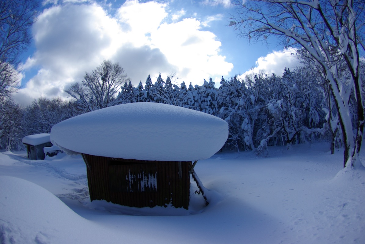 広島県民の森（毛無山）スノーシューハイク_a0009554_19244947.jpg