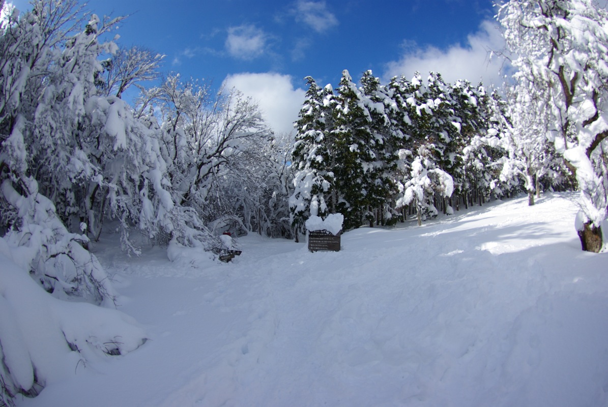 広島県民の森（毛無山）スノーシューハイク_a0009554_1924597.jpg