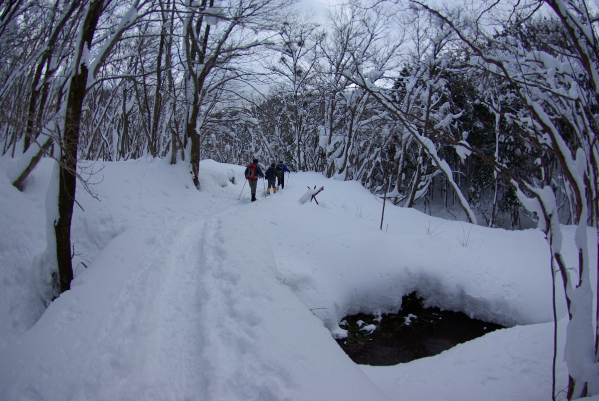 広島県民の森（毛無山）スノーシューハイク_a0009554_19294613.jpg