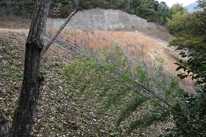 岡山県井原市芳井町 泉谷池_f0091955_1462358.jpg