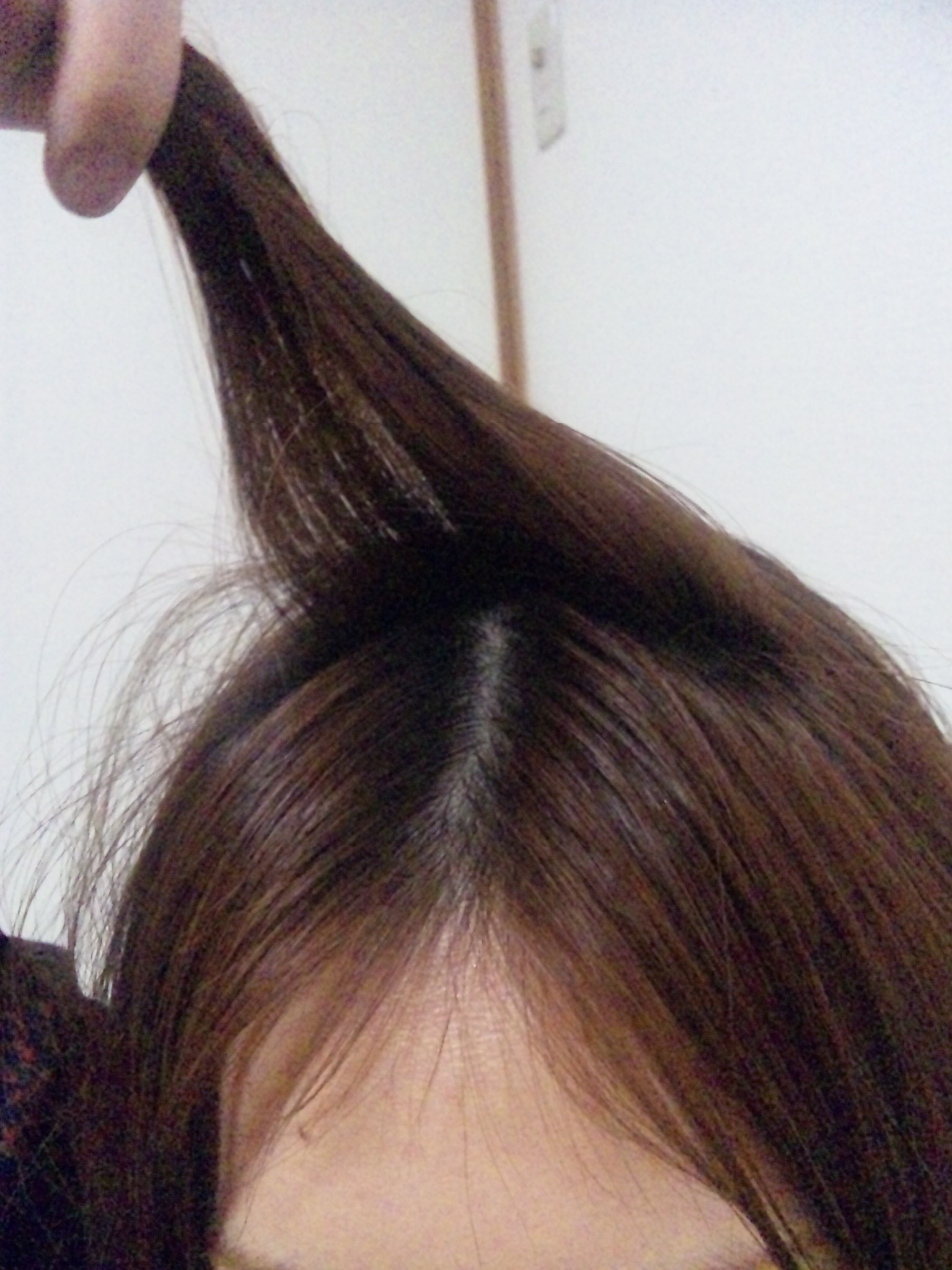 a0080156_10252510.jpg