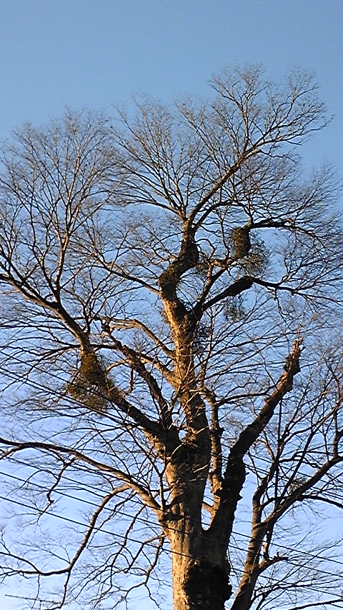 f0222164_12103673.jpg