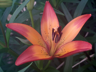e0097770_0494643.jpg