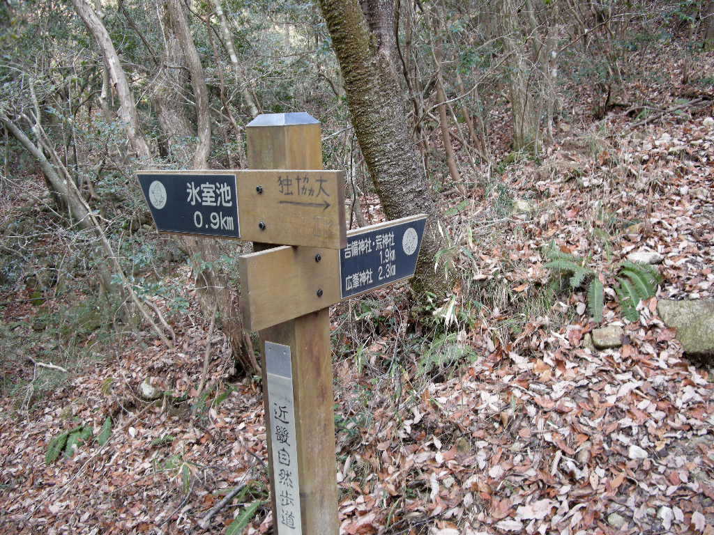 b0185573_94347.jpg