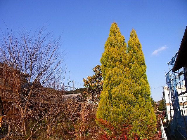 e0181373_20544123.jpg