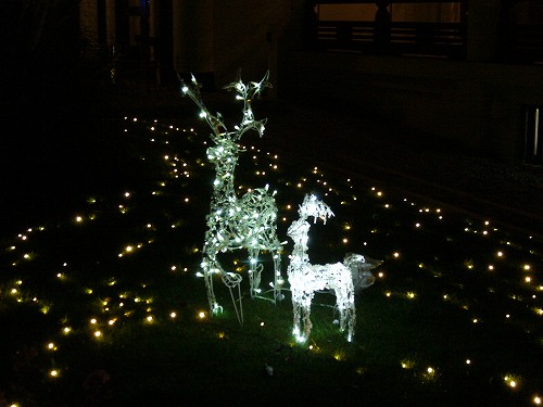 びわ湖大津館：クリスマスイルミネーション_f0163873_1541045.jpg