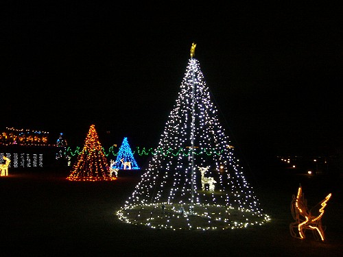 びわ湖大津館：クリスマスイルミネーション_f0163873_15414262.jpg