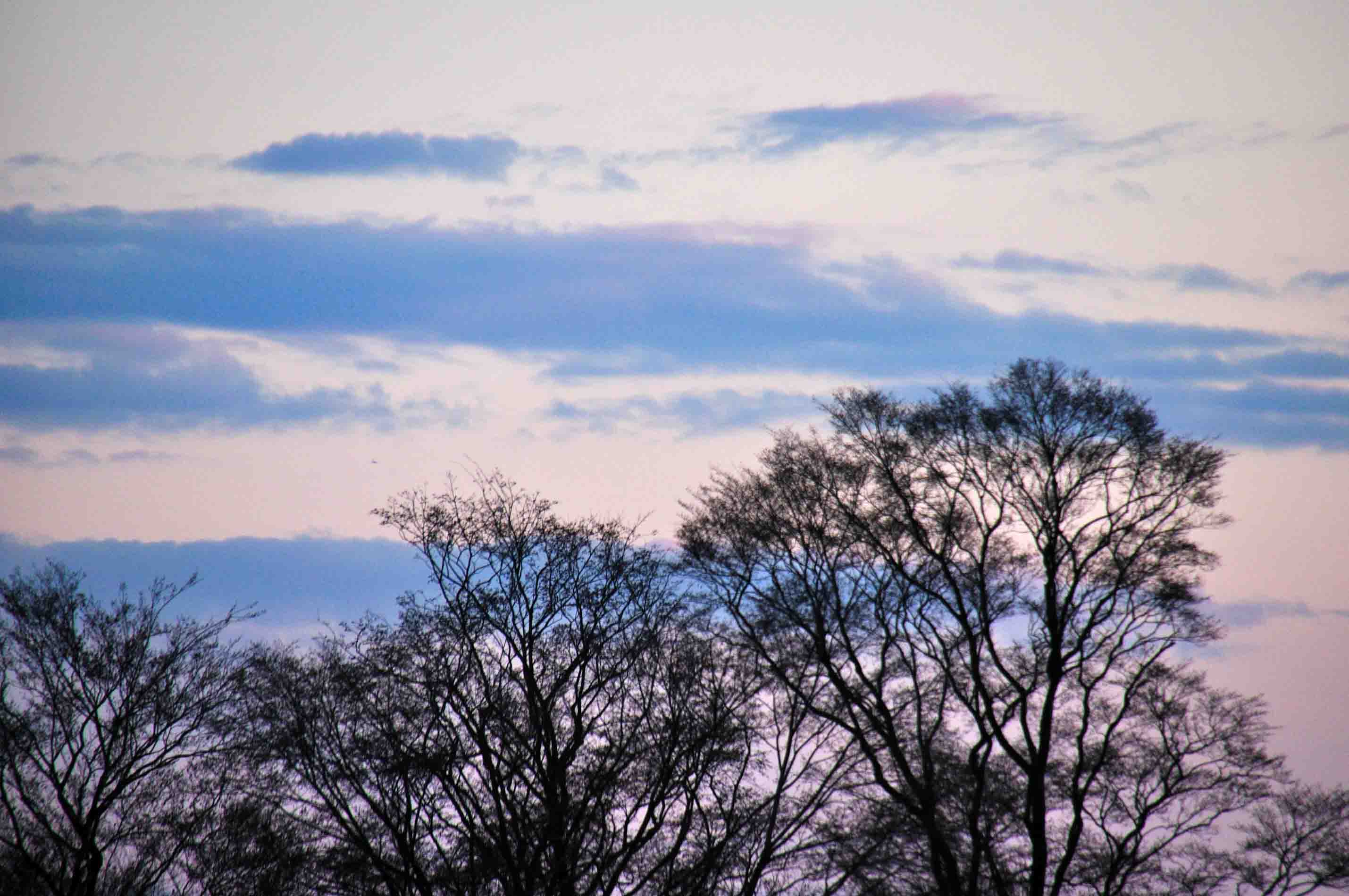 b0204383_2140144.jpg