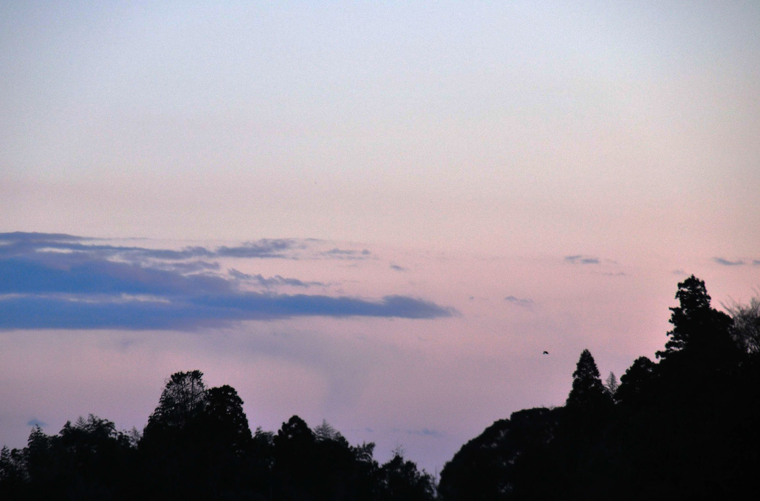 b0204383_21412590.jpg
