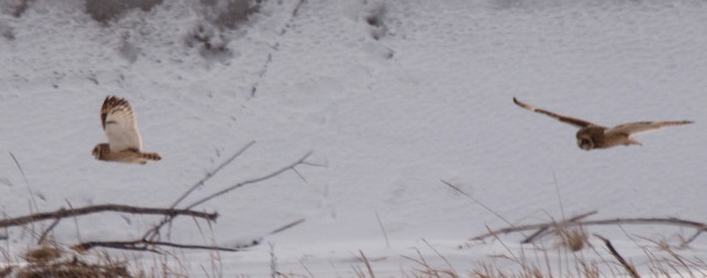 b0203989_22344914.jpg