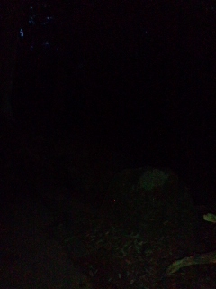 f0236990_13134.jpg