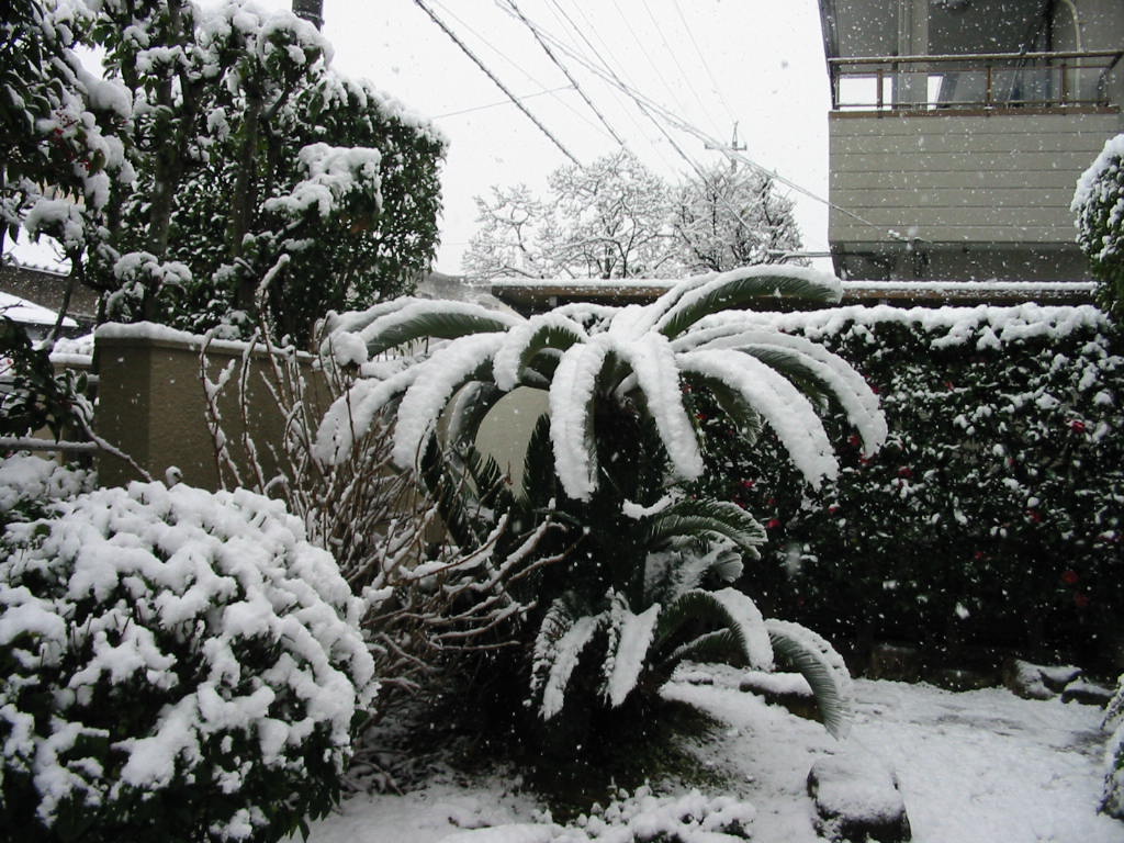a0145798_1955619.jpg