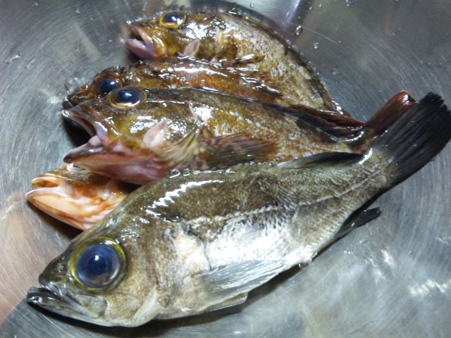 f0233900_22465670.jpg