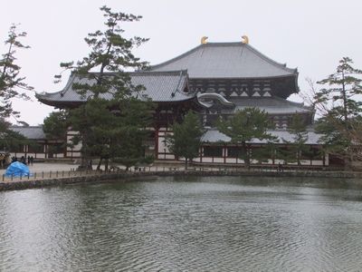 大晦日、雪の東大寺大仏殿_f0120102_1634265.jpg