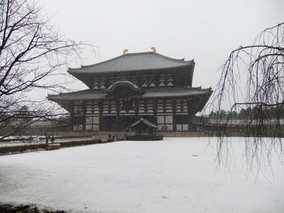 f0120102_164203.jpg