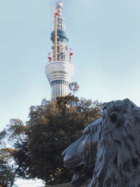 e0039703_1928186.jpg